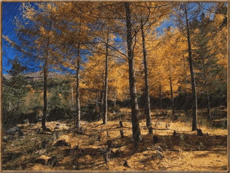 八年级上语文课件组歌  雨之歌 (31)_鲁教版第2页