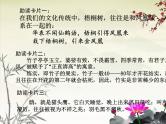 八年级下语文课件《庄子》故事两则 惠子相梁 (12)_鲁教版