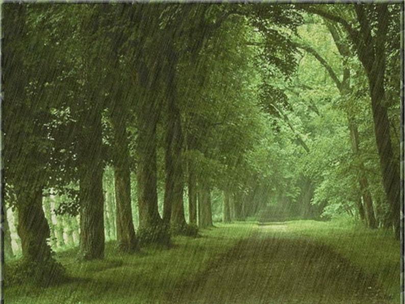 八年级上语文课件组歌  雨之歌 (30)_鲁教版第2页
