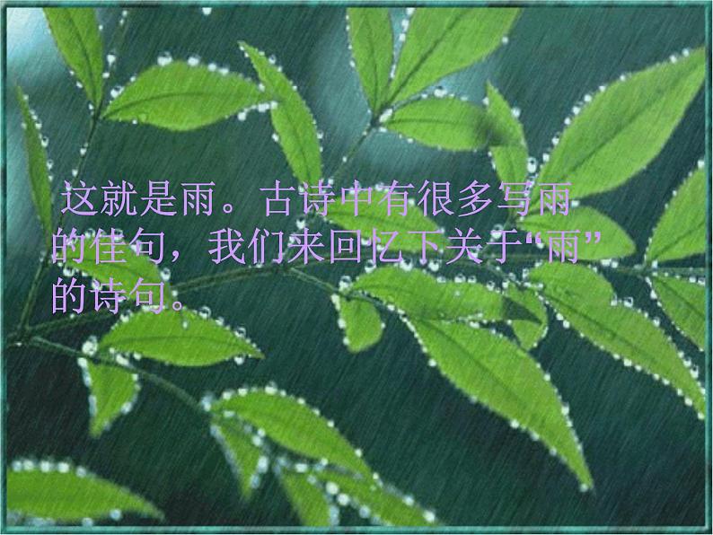 八年级上语文课件组歌  雨之歌 (30)_鲁教版第4页