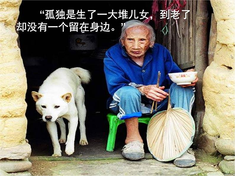 八年级下语文课件孤独之旅 (19)_鲁教版第3页