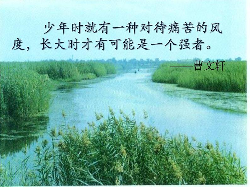 八年级下语文课件孤独之旅 (17)_鲁教版第1页