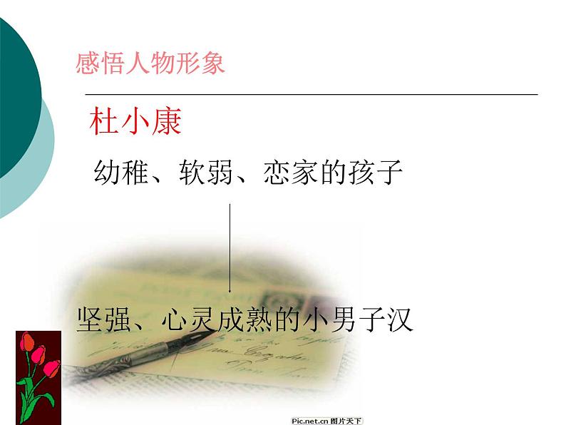 八年级下语文课件孤独之旅 (18)_鲁教版第8页