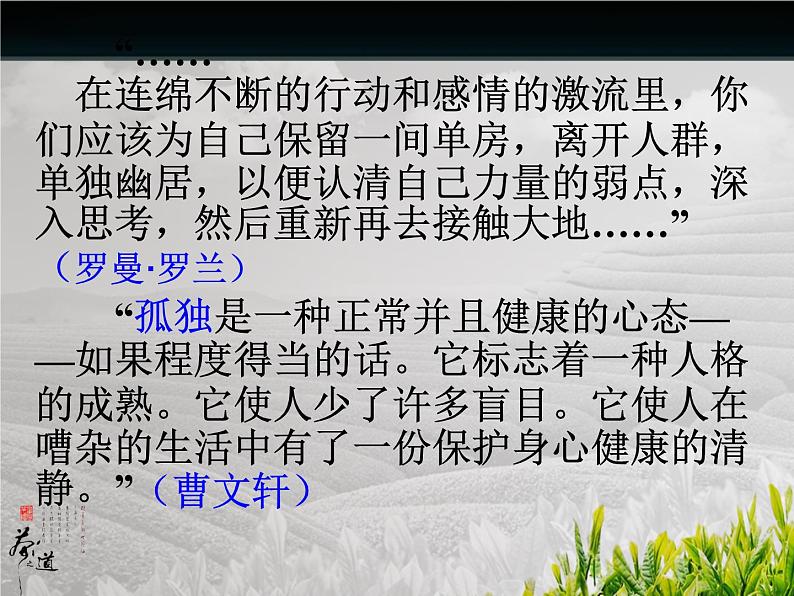 八年级下语文课件孤独之旅 (10)_鲁教版第1页