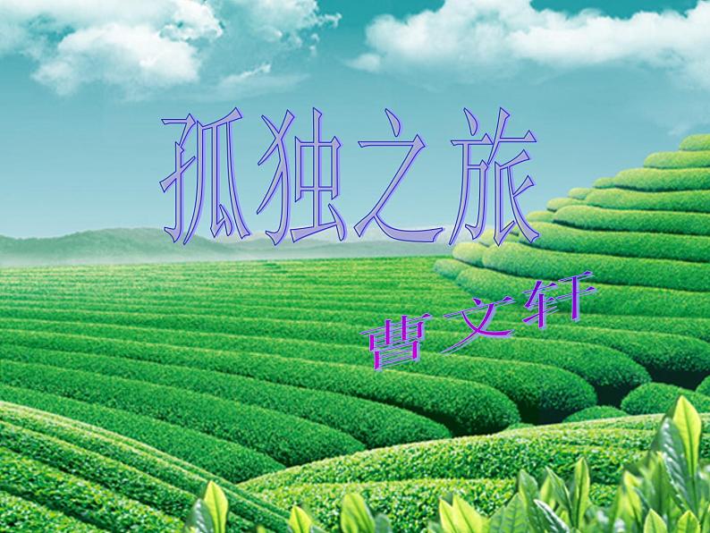 八年级下语文课件孤独之旅 (10)_鲁教版第2页