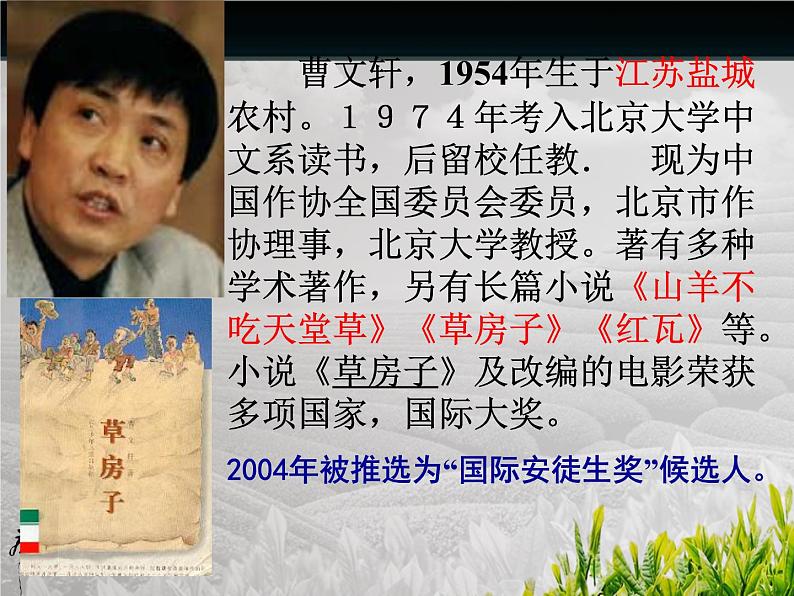 八年级下语文课件孤独之旅 (10)_鲁教版第4页