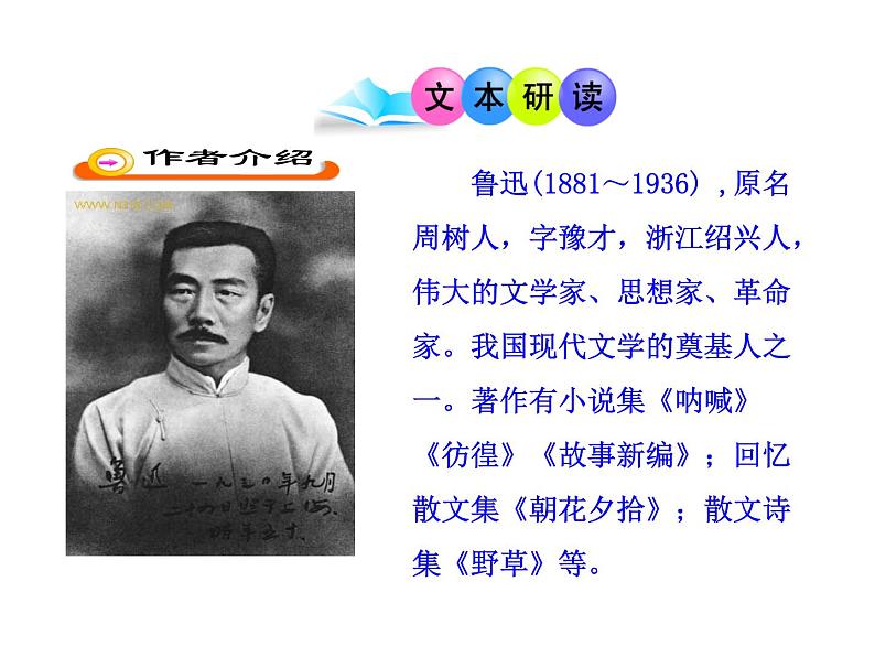 八年级下语文课件故乡 (4)_鲁教版第7页