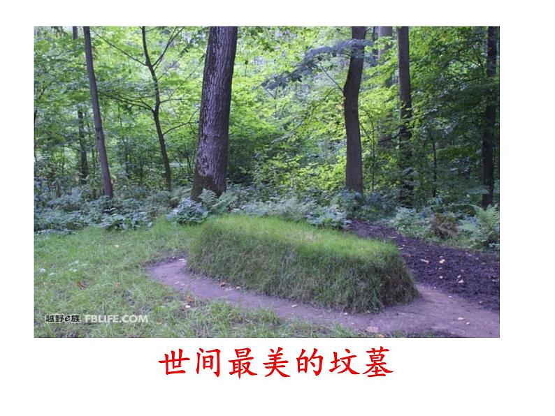 八年级下语文课件列夫托尔斯泰 (5)_鲁教版第1页