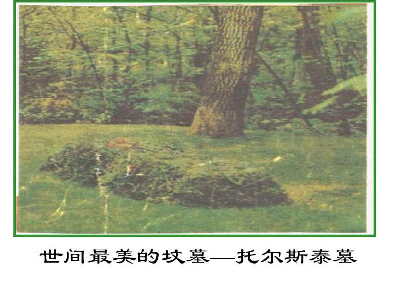 八年级下语文课件列夫托尔斯泰 (14)_鲁教版第2页