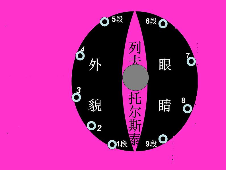 八年级下语文课件列夫托尔斯泰 (14)_鲁教版第4页