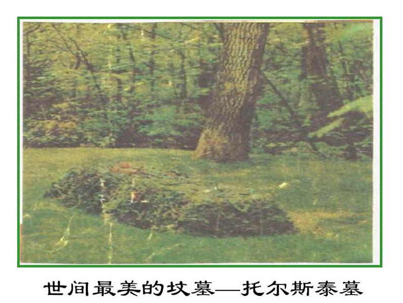 八年级下语文课件列夫托尔斯泰 (13)_鲁教版第6页