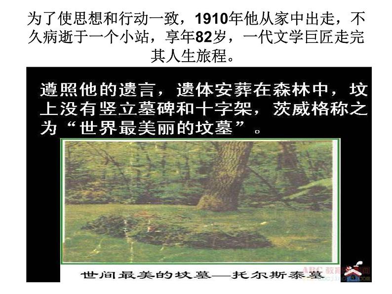 八年级下语文课件列夫托尔斯泰 (20)_鲁教版第8页