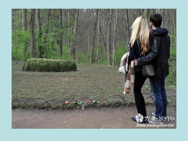 八年级下语文课件列夫托尔斯泰 (19)_鲁教版第1页