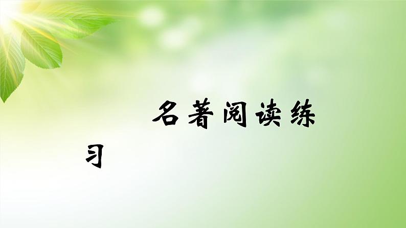 名著阅读练习之01课标13部名著 课件ppt01