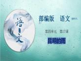 专题17 《昆明的雨》同步课件-2020-2021学年八年级语文上册同步轻松备课系列精品（部编版）(共31张PPT)