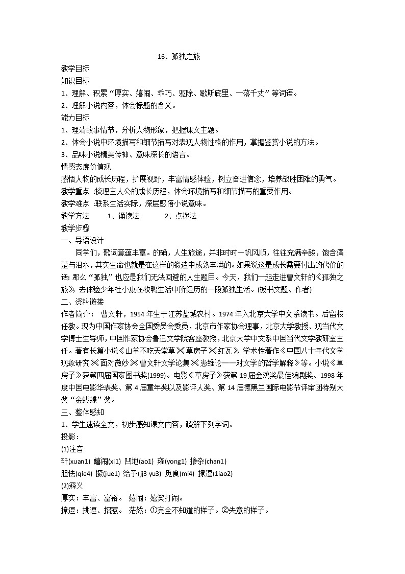 人教版九年级上册语文第四单元第十六课孤独之旅 精品教案第1页