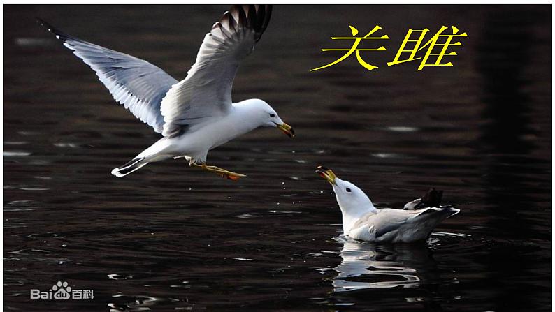 2021年春人教版8年级下册语文11核舟记课件第3页