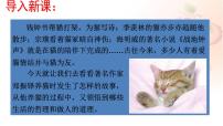 人教部编版七年级上册16 猫优秀课件ppt