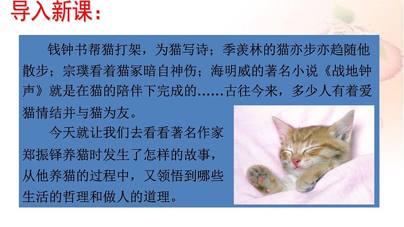 人教版7年级上册语文16猫课件01