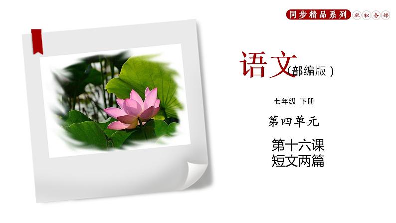 《短文两篇》同步课件七年级语文下册同步精品系列（部编版）(共56张PPT)第1页