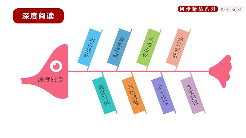 《短文两篇》同步课件七年级语文下册同步精品系列（部编版）(共56张PPT)第4页