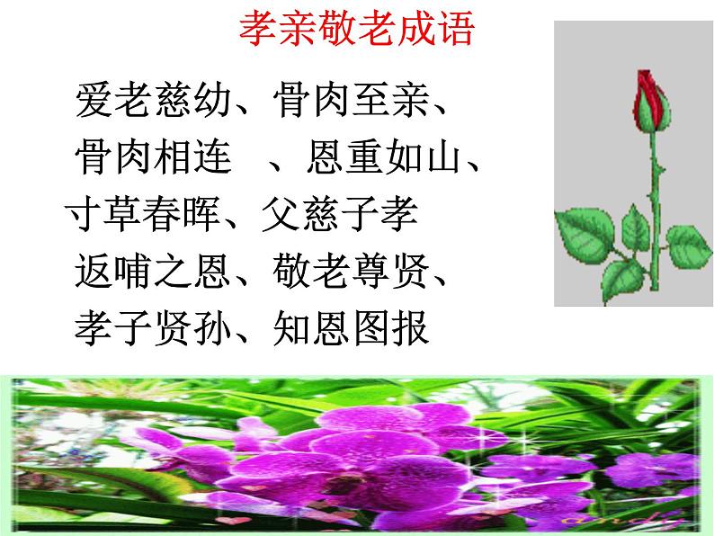 综合性学习  孝亲敬老，从我做起  （课件37张）08