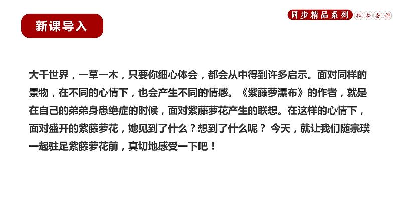 《紫藤萝瀑布》同步课件七年级语文下册同步精品系列（部编版）(共42张PPT)第8页