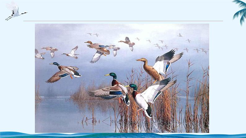 7《大雁归来》PPT课件（部编版）(共45张PPT)02