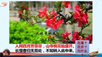 初中语文人教部编版八年级下册5 大自然的语言教案配套课件ppt