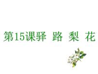 初中语文人教部编版七年级下册14 驿路梨花优秀ppt课件