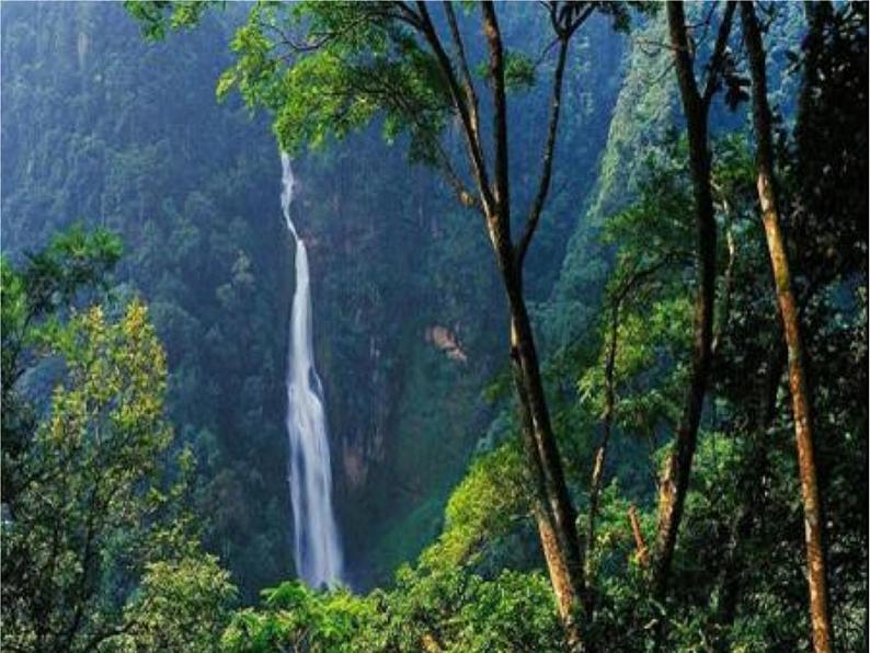 人教部编版七年级下册第14课《驿路梨花》课件02