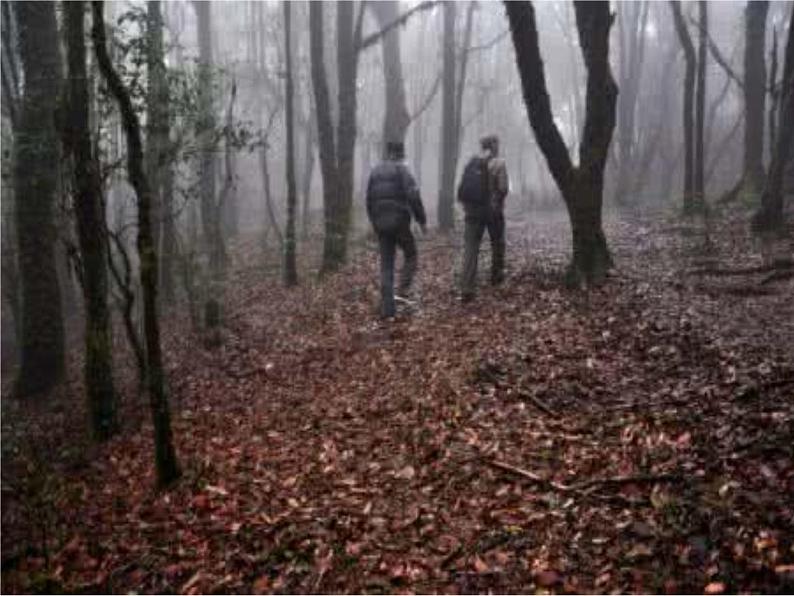 人教部编版七年级下册第14课《驿路梨花》课件04