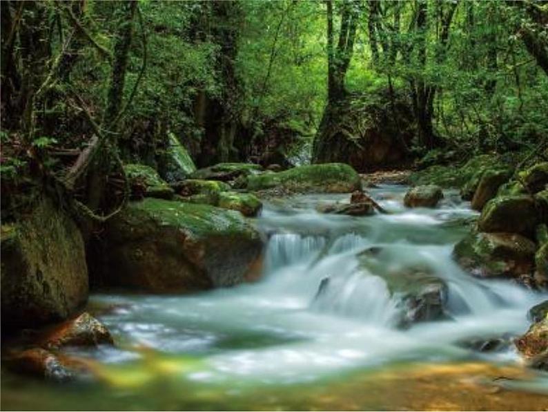 人教部编版七年级下册第14课《驿路梨花》课件05