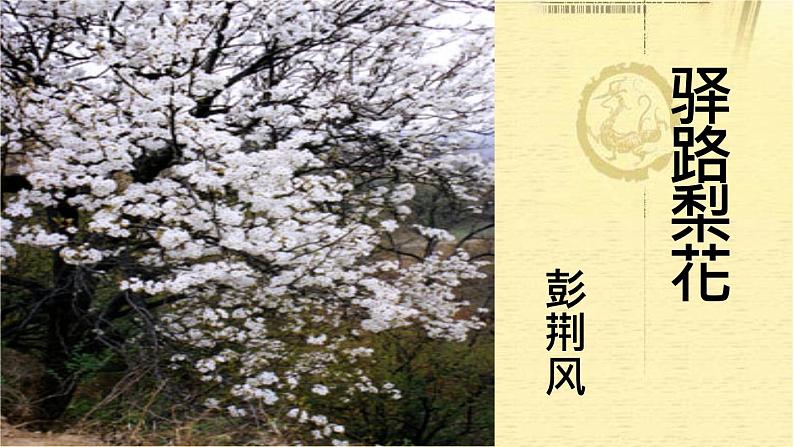 人教部编版七年级下册第14课《驿路梨花》课件03