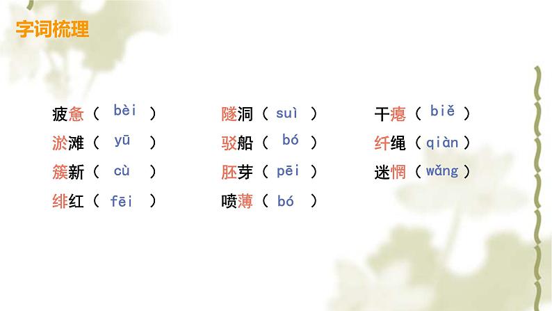 部编版九年级下册语文第1课祖国啊，我亲爱的祖国课件06