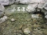 2020—2021学年八年级语文部编版下册第10课《小石潭记》课件（共42张PPT）