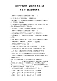 2021年中考语文一轮复习专题练习题 专题03：成语的使用专练