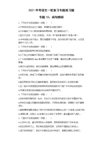 2021年中考语文一轮复习专题练习题 专题10：病句辨析