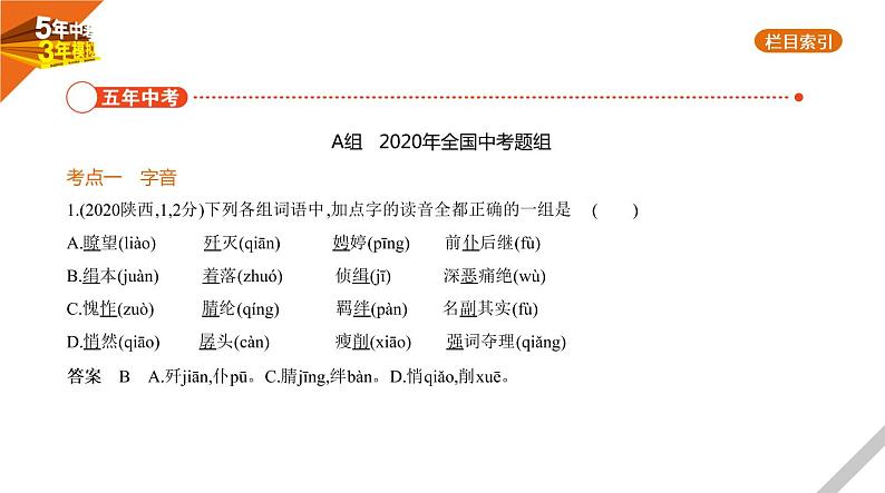 2021版《5年中考3年模拟》全国版中考语文：01专题一　字音与字形02