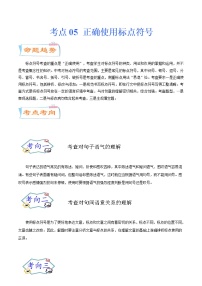 考点05 正确使用标点符号（考点详解）-备战2021年中考语文考点微专题
