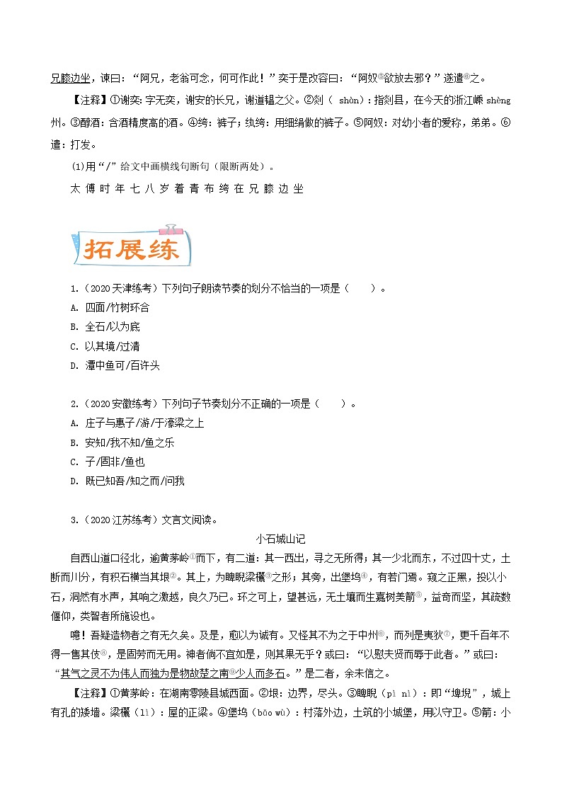 考点08 划分文言语句的朗读节奏（考点专练）-备战2021年中考语文考点微专题02