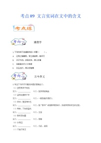 考点09 文言实词在文中的含义（考点专练）-备战2021年中考语文考点微专题