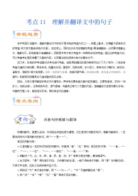 考点11 理解并翻译文中的句子（考点详解）-备战2021年中考语文考点微专题