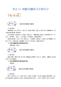 考点11 理解并翻译文中的句子（考点专练）-备战2021年中考语文考点微专题