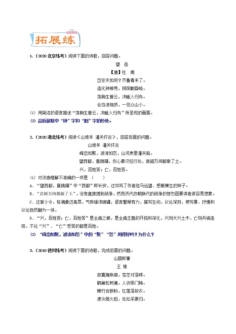 考点13 鉴赏诗歌的语言（考点专练）-备战2021年中考语文考点微专题02