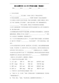 湖北省黄冈市2020年中考语文真题含解析