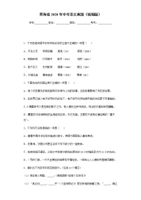 青海省2020年中考语文真题含答案解析