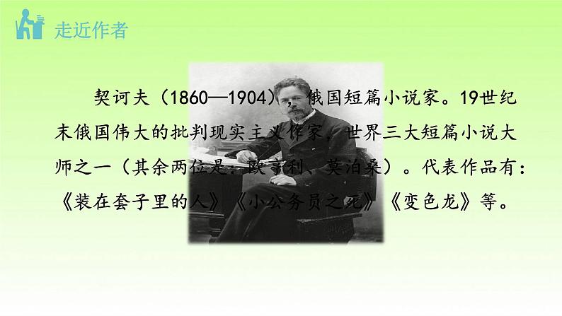 人教部编版九年级下册语文6变色龙课件08