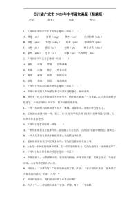 四川省广安市2020年中考语文真题含解析