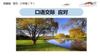 初中语文人教部编版八年级下册口语交际 应对精品课件ppt